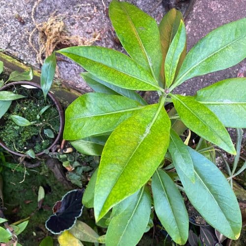 5VrCX0VCSXsQMXopg74K.jpg 5VrCX0VCSXsQMXopg74K.jpg