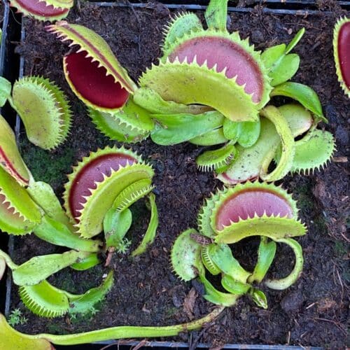 5XQSyE5pW5Dl6bEH16pd.jpg 5XQSyE5pW5Dl6bEH16pd.jpg