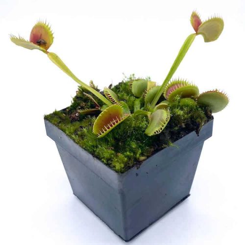 5YHbMN8PR2PB3xLr9S1Z.jpg 5YHbMN8PR2PB3xLr9S1Z.jpg