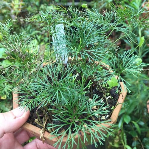 5mCygwviO7eXo70B48f8.jpg 5mCygwviO7eXo70B48f8.jpg