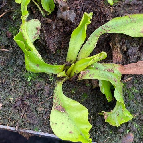 5wcZcqzeaQduSEb9FKrc.jpg 5wcZcqzeaQduSEb9FKrc.jpg