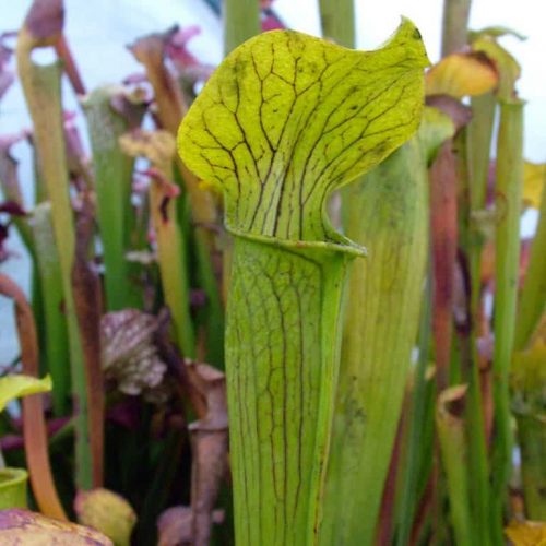 6HRjHbOgrxQ9kDEVrxmP.jpg 6HRjHbOgrxQ9kDEVrxmP.jpg