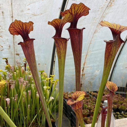 6VR7fkBy7H5Eh5n9V31U.jpg 6VR7fkBy7H5Eh5n9V31U.jpg