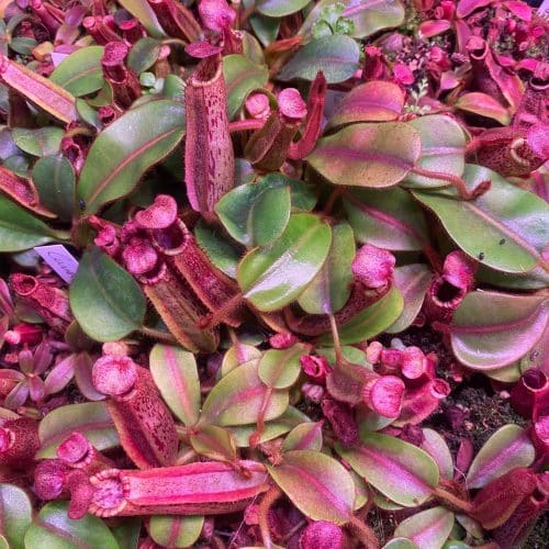 6s6bbpBIzvHfKXTawrZf.jpg 6s6bbpBIzvHfKXTawrZf.jpg