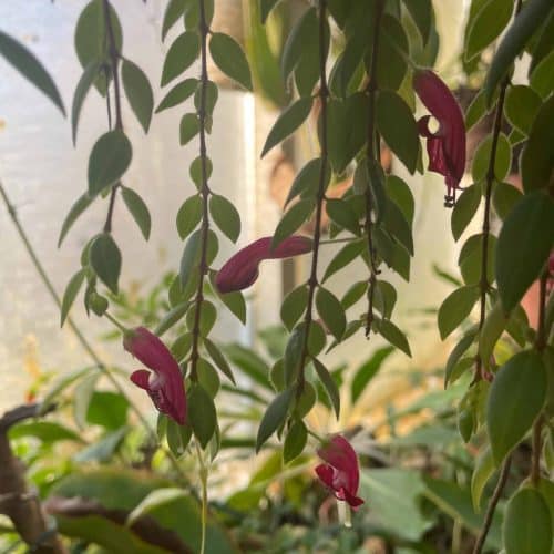 6tIW87Mc3MKOJbZrfqrt.jpg 6tIW87Mc3MKOJbZrfqrt.jpg