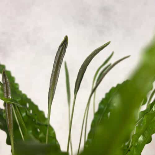 6yoG3KblGfx4D6venkCN.jpg 6yoG3KblGfx4D6venkCN.jpg