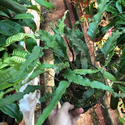 74NT8UtXdvpvTsbSBQap.jpg 74NT8UtXdvpvTsbSBQap.jpg