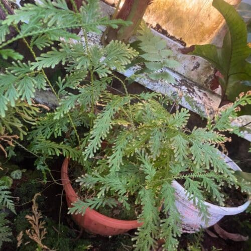 7EtBsNM6tg0XlGRoFSWp.jpg 7EtBsNM6tg0XlGRoFSWp.jpg