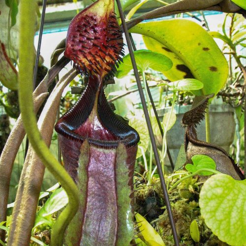 7IeVK2g9KvHxXS8dEWSm.jpg 7IeVK2g9KvHxXS8dEWSm.jpg