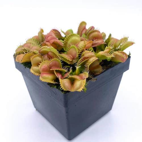 7KB7MMGenYlSAbHiaFdu-1.jpg 7KB7MMGenYlSAbHiaFdu-1.jpg