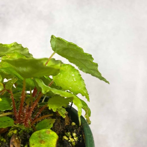 7nCyzdBtH3dPB1XLGX6e.jpg 7nCyzdBtH3dPB1XLGX6e.jpg