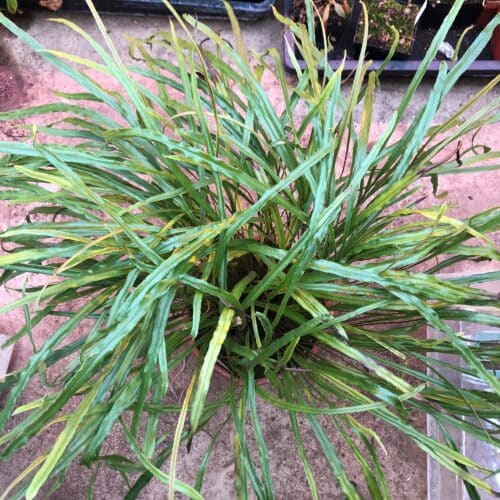 80jtO5BwCzJ0kTORKakQ.jpg 80jtO5BwCzJ0kTORKakQ.jpg