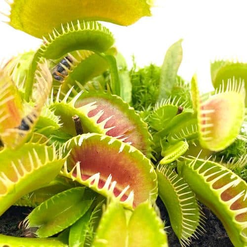 82B9FUsRv9MCOAaI7aON.jpg 82B9FUsRv9MCOAaI7aON.jpg