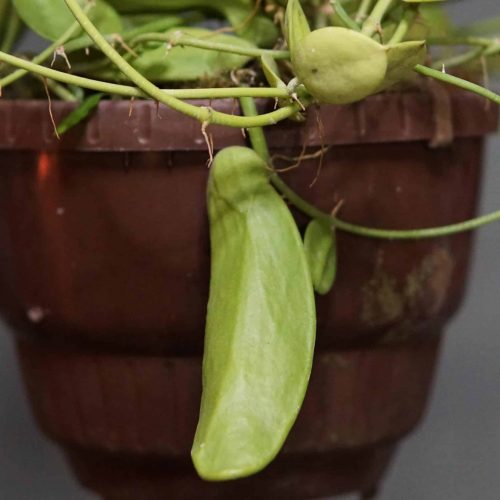 88IsPLojcrxlUnWjuZFW.jpg 88IsPLojcrxlUnWjuZFW.jpg