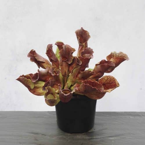 89vvVEShvOKjRgjv0Lge.jpg 89vvVEShvOKjRgjv0Lge.jpg