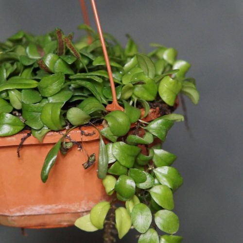 8JArrxo2SxWY19DSOJhf.jpg 8JArrxo2SxWY19DSOJhf.jpg