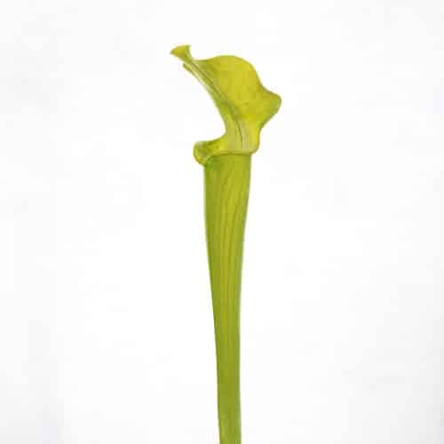 8aSmHUY2HyMZxlCSMjDj.jpg 8aSmHUY2HyMZxlCSMjDj.jpg