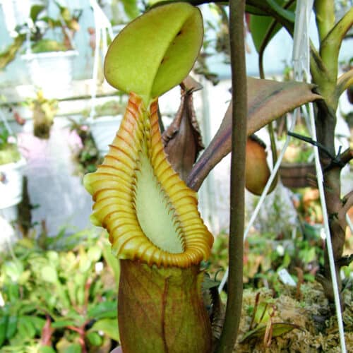 8eID5vyXWs8XeV262Bzq.jpg 8eID5vyXWs8XeV262Bzq.jpg