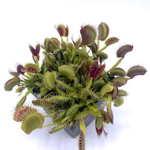 8rgHxBaTmmdA8UmYEgj0-1.jpg 8rgHxBaTmmdA8UmYEgj0-1.jpg