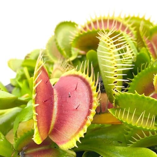 8sGN2CtfixKB8A5OiTjt-1.jpg 8sGN2CtfixKB8A5OiTjt-1.jpg