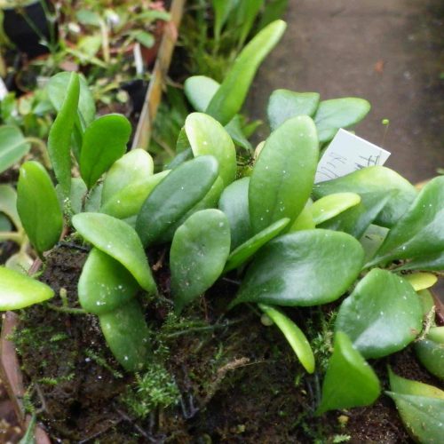 90RZ7jBErIkrgdQQBfRv.jpg 90RZ7jBErIkrgdQQBfRv.jpg