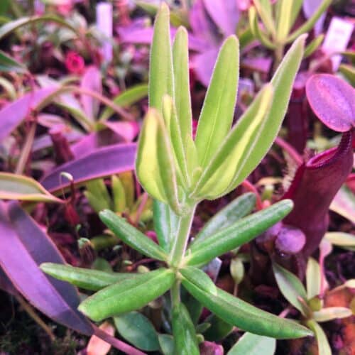 960c8lXBTk6KiBQfo3NH.jpg 960c8lXBTk6KiBQfo3NH.jpg