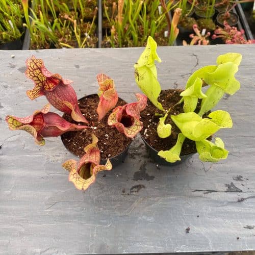 9BJIGwC6JbhTzINKPoOj.jpg 9BJIGwC6JbhTzINKPoOj.jpg