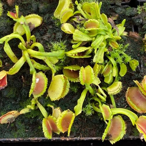 9DkVaf5EZJn7u7wv8u22.jpg 9DkVaf5EZJn7u7wv8u22.jpg