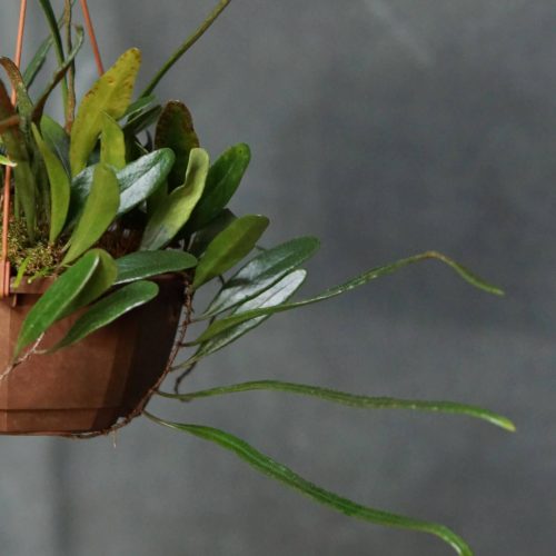 9JOQsuzzYjRI6tExE2i8.jpg 9JOQsuzzYjRI6tExE2i8.jpg