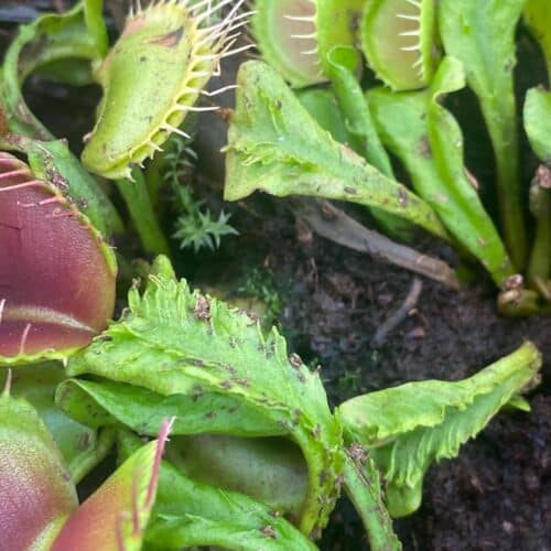 9MLtJ96xJuiPIPEHEaTD.jpg 9MLtJ96xJuiPIPEHEaTD.jpg