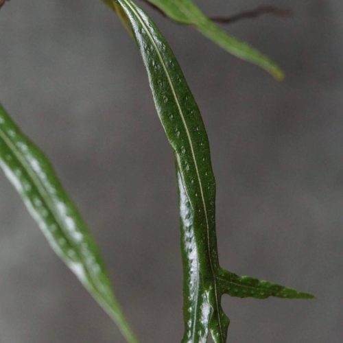 9QWZVCAjB3xAMTXZHlwq.jpg 9QWZVCAjB3xAMTXZHlwq.jpg