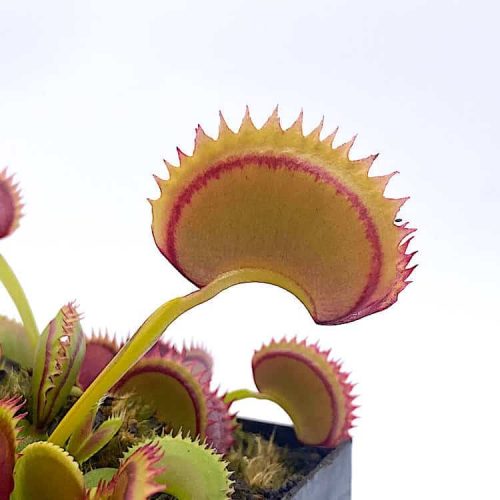 9UPcmWQsqFmZ9DxtqFLg.jpg 9UPcmWQsqFmZ9DxtqFLg.jpg