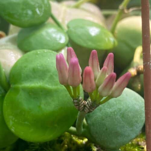 9aKnMhktvjRyEscMKIwF.jpg 9aKnMhktvjRyEscMKIwF.jpg