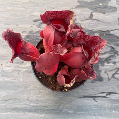 9oWH0rAFg736eOvQUxIC.jpg 9oWH0rAFg736eOvQUxIC.jpg