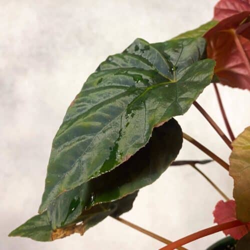 9rh1VRv6THdK488lYAw2.jpg 9rh1VRv6THdK488lYAw2.jpg