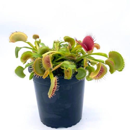 A5a1611U7PUww1VjPUrA-1.jpg A5a1611U7PUww1VjPUrA-1.jpg