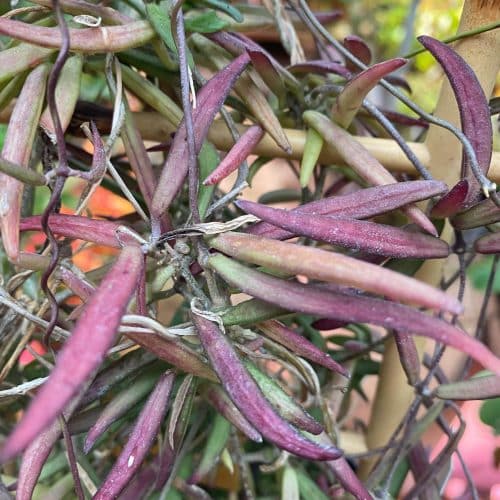 A5h2iYVyNV40tB3Yg6Im.jpg A5h2iYVyNV40tB3Yg6Im.jpg