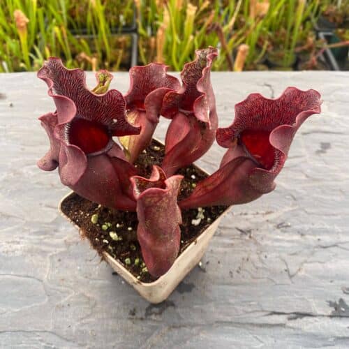 APQduLc6qfwTaSAMwCBr.jpg APQduLc6qfwTaSAMwCBr.jpg