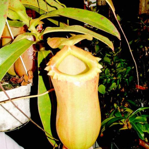 Absxo2kLJUKe0dbMxw7i.jpg Absxo2kLJUKe0dbMxw7i.jpg