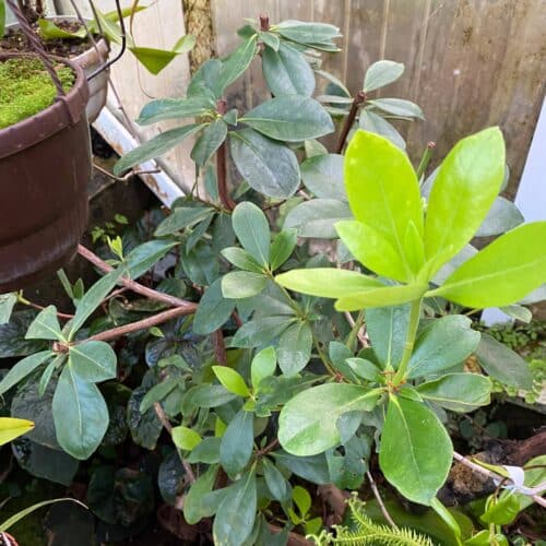 AfrGHdkwzElLWAfgGW8q.jpg AfrGHdkwzElLWAfgGW8q.jpg