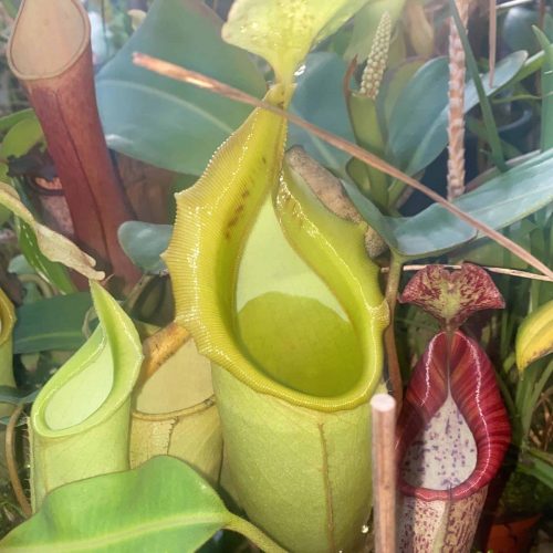 AnSRe2kyIYnBVBL46yPB.jpg AnSRe2kyIYnBVBL46yPB.jpg