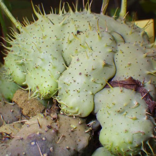 AwwQGZNVuLB7CBtkEKOJ.jpg AwwQGZNVuLB7CBtkEKOJ.jpg