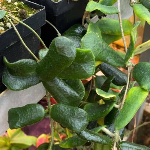 Ay6Bix0DalvdGnAc1pM4.jpg Ay6Bix0DalvdGnAc1pM4.jpg