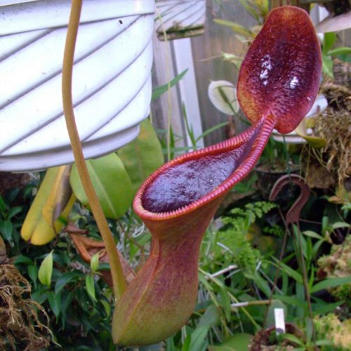 B48a9XjD4v2dzSMCf17W.jpg B48a9XjD4v2dzSMCf17W.jpg