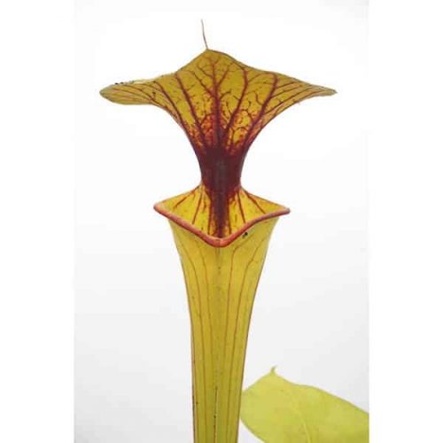 B715hXiLYxXTmmcsRqy1.jpg B715hXiLYxXTmmcsRqy1.jpg