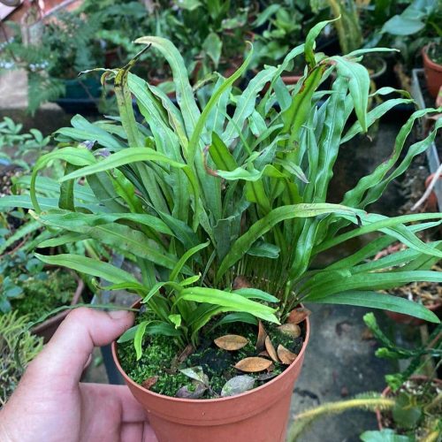 BChgSE0dG7TrT693WAWA.jpg BChgSE0dG7TrT693WAWA.jpg