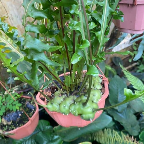 BELYRsV93fHy9rjmLcf5.jpg BELYRsV93fHy9rjmLcf5.jpg