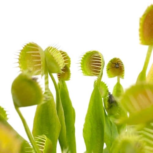 BHGN0er3byYFtX3iqPJc-1.jpg BHGN0er3byYFtX3iqPJc-1.jpg