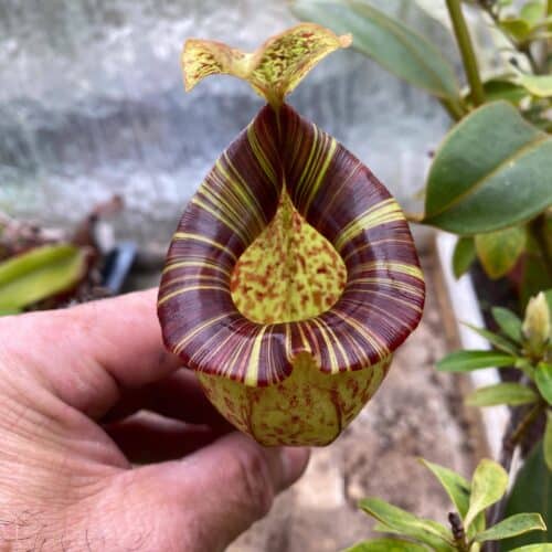 BKWh75lZgWsNF3k1MjKf.jpg BKWh75lZgWsNF3k1MjKf.jpg