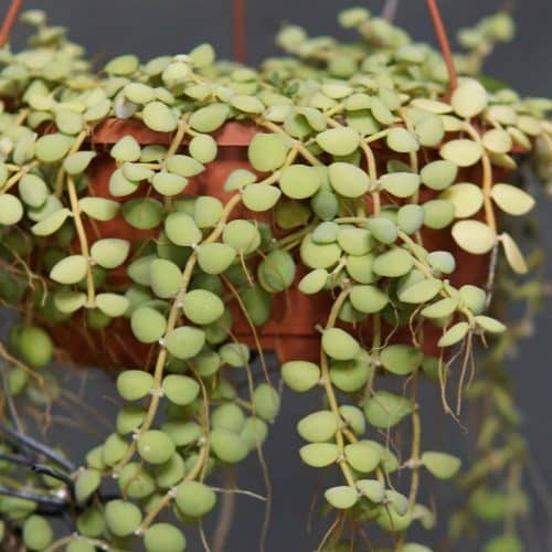 BOyyDlH4ZR2Kfd6ZjxgS-1.jpg BOyyDlH4ZR2Kfd6ZjxgS-1.jpg